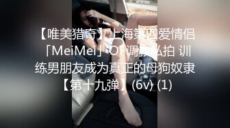 【唯美猎奇】上海第四爱情侣「MeiMei」OF调教私拍 训练男朋友成为真正的母狗奴隶【第十九弹】(6v) (1)