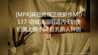 [MP4]麻豆传媒正统新作MD137-窃贼误闯阴道内 E奶贵妇强上傻小贼 巨乳新人钟丽琪