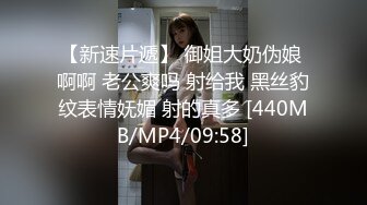 【新速片遞】 御姐大奶伪娘 啊啊 老公爽吗 射给我 黑丝豹纹表情妩媚 射的真多 [440MB/MP4/09:58]