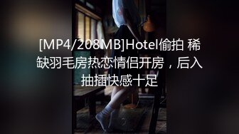 [MP4/208MB]Hotel偷拍 稀缺羽毛房热恋情侣开房，后入抽插快感十足