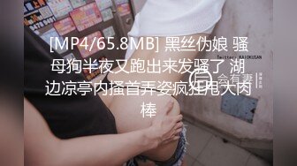 [MP4/65.8MB] 黑丝伪娘 骚母狗半夜又跑出来发骚了 湖边凉亭内搔首弄姿疯狂甩大肉棒