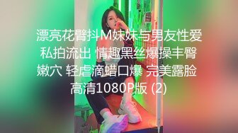 漂亮花臂抖M妹妹与男友性爱私拍流出 情趣黑丝爆操丰臀嫩穴 轻虐滴蜡口爆 完美露脸 高清1080P版 (2)