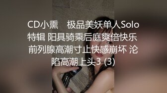 CD小熏✨ 极品美妖单人Solo特辑 阳具骑乘后庭爽倍快乐 前列腺高潮寸止快感崩坏 沦陷高潮上头3 (3)