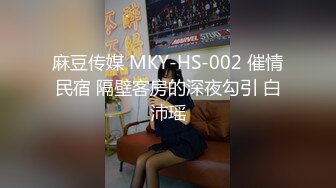 麻豆传媒 MKY-HS-002 催情民宿 隔壁客房的深夜勾引 白沛瑶