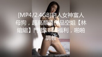 [MP4/2.4GB]窮人女神富人母狗，超高顏值極品空姐【林綰綰】門檻1888福利，啪啪調教