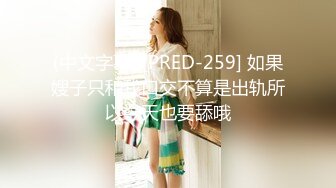 (中文字幕) [PRED-259] 如果嫂子只和我口交不算是出轨所以今天也要舔哦