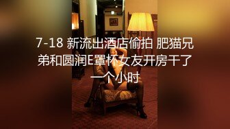 7-18 新流出酒店偷拍 肥猫兄弟和圆润E罩杯女友开房干了一个小时