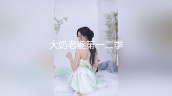 大奶老婆第一二季